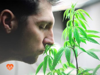 Детоксикация от марихуаны в Балахне